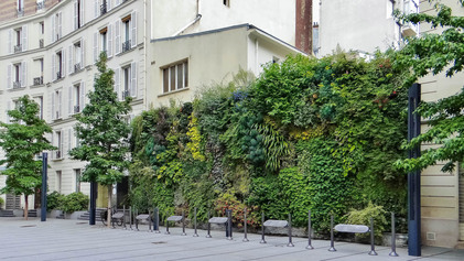 Végétaliser le tronçon avenue de Paris/Jean Jaurès